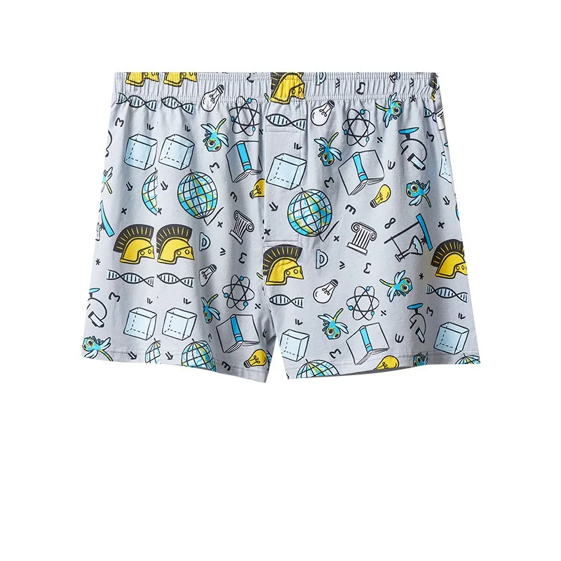 บุรุษนักมวยผ้าฝ้าย Aro กางเกงฤ - Boxer Brief Pack Cotton บทวิจารณ์และราคา
